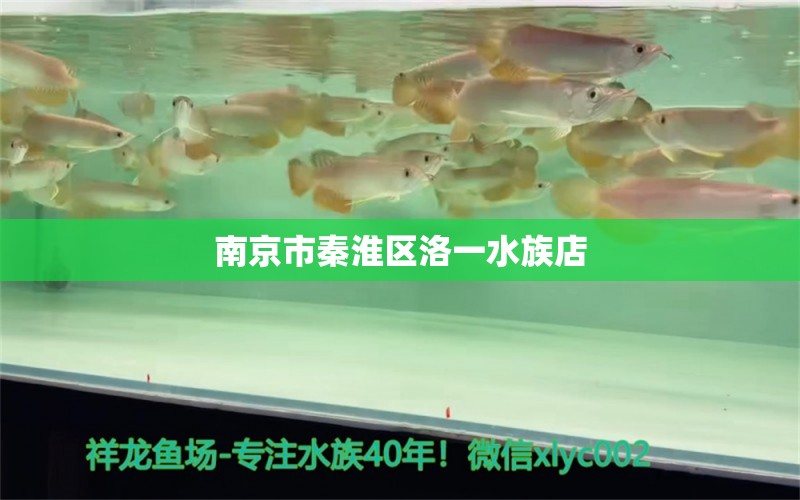 南京市秦淮区洛一水族店