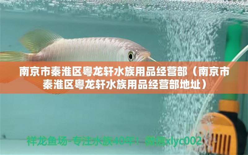 南京市秦淮区粤龙轩水族用品经营部（南京市秦淮区粤龙轩水族用品经营部地址）