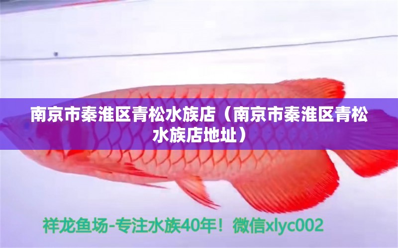 南京市秦淮区青松水族店（南京市秦淮区青松水族店地址） 全国水族馆企业名录