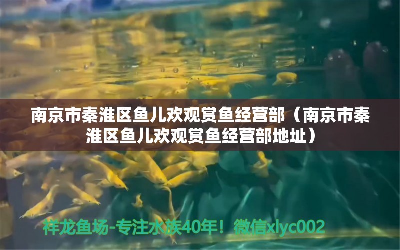 南京市秦淮区鱼儿欢观赏鱼经营部（南京市秦淮区鱼儿欢观赏鱼经营部地址）