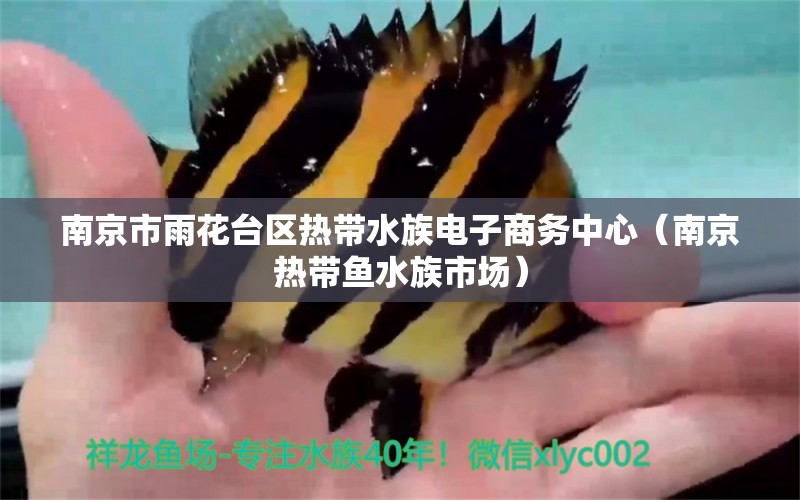 南京市雨花台区热带水族电子商务中心（南京热带鱼水族市场）