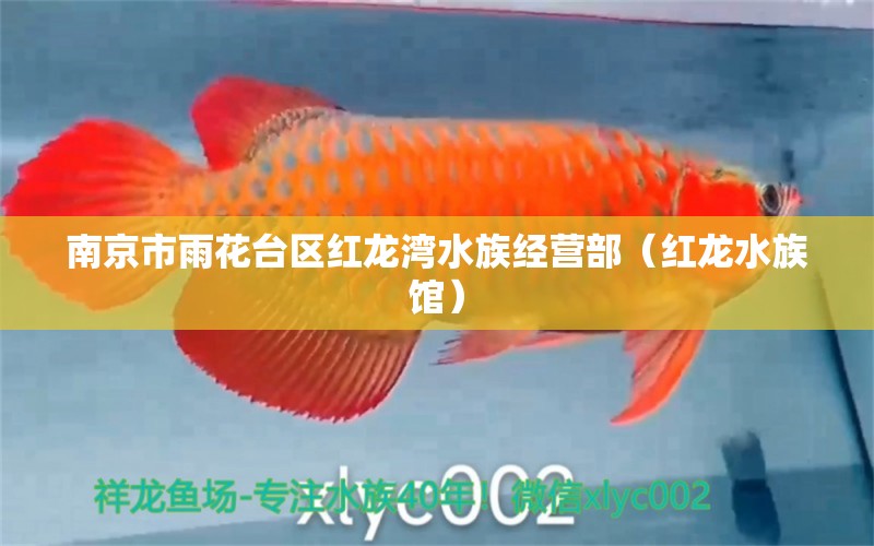 南京市雨花台区红龙湾水族经营部（红龙水族馆）