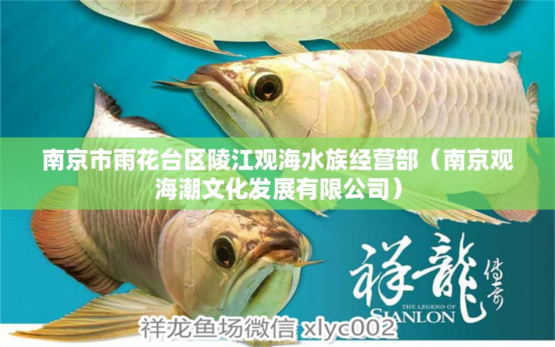 南京市雨花台区陵江观海水族经营部（南京观海潮文化发展有限公司）