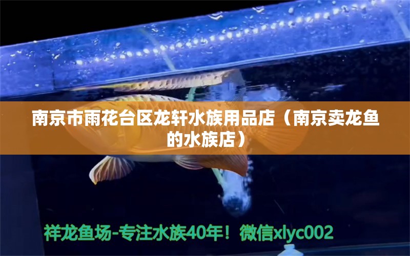 南京市雨花台区龙轩水族用品店（南京卖龙鱼的水族店） 水族用品