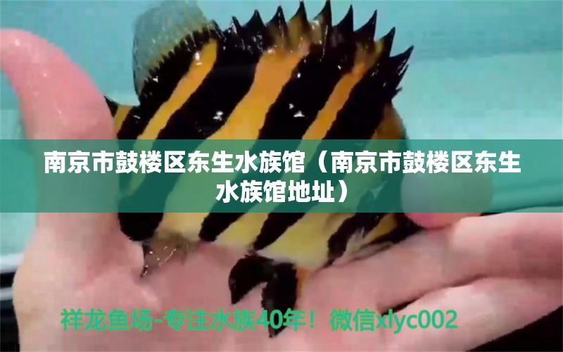 南京市鼓楼区东生水族馆（南京市鼓楼区东生水族馆地址） 全国水族馆企业名录