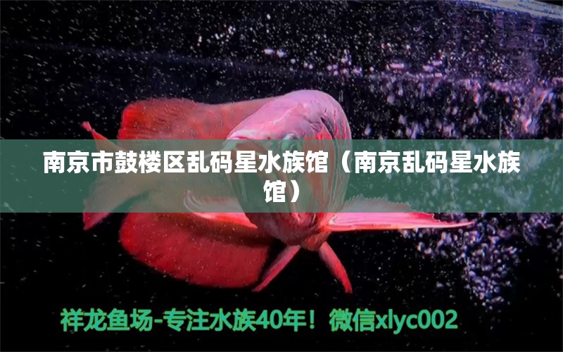 南京市鼓楼区乱码星水族馆（南京乱码星水族馆） 全国观赏鱼市场 第1张