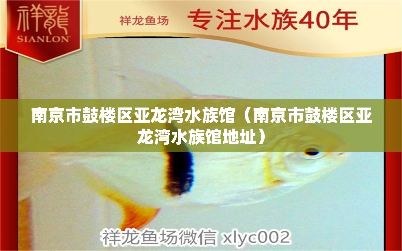 南京市鼓楼区亚龙湾水族馆（南京市鼓楼区亚龙湾水族馆地址） 全国水族馆企业名录