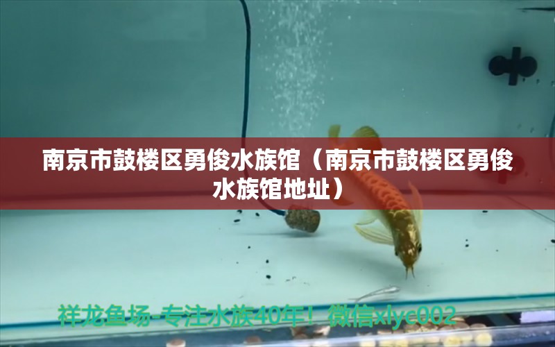 南京市鼓楼区勇俊水族馆（南京市鼓楼区勇俊水族馆地址） 全国水族馆企业名录