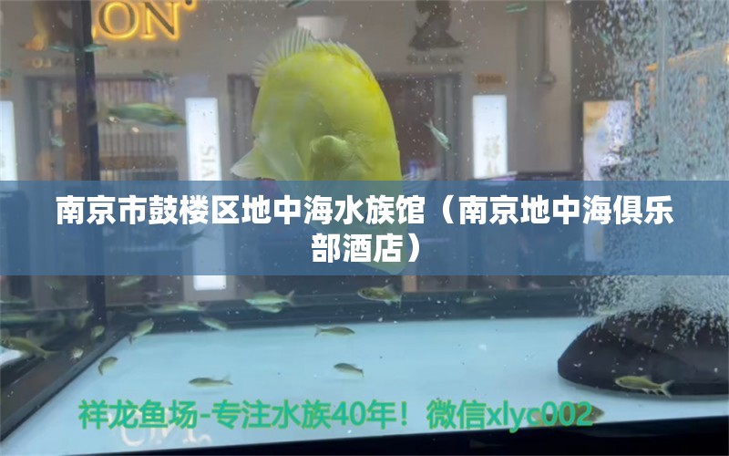 南京市鼓楼区地中海水族馆（南京地中海俱乐部酒店）