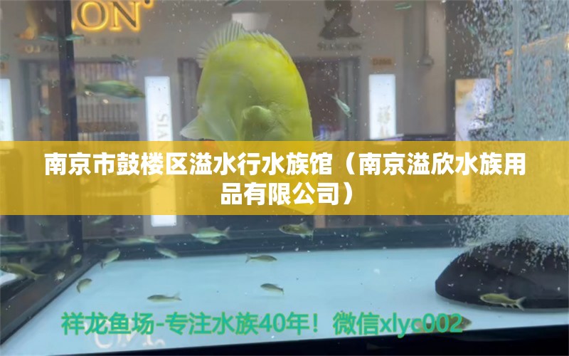 南京市鼓楼区溢水行水族馆（南京溢欣水族用品有限公司）