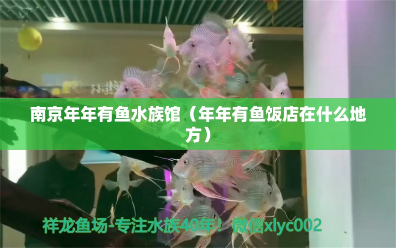 南京年年有鱼水族馆（年年有鱼饭店在什么地方）