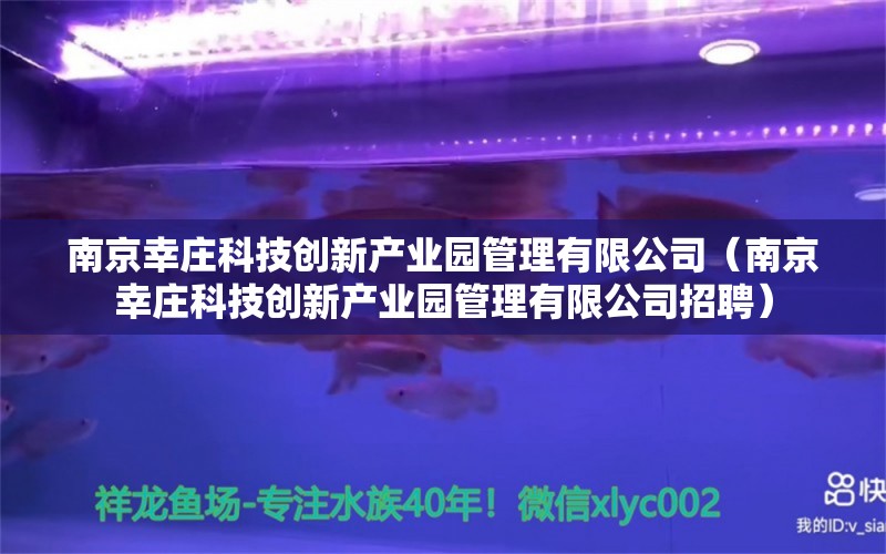 南京幸庄科技创新产业园管理有限公司（南京幸庄科技创新产业园管理有限公司招聘）