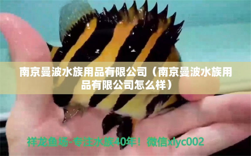 南京曼波水族用品有限公司（南京曼波水族用品有限公司怎么样）