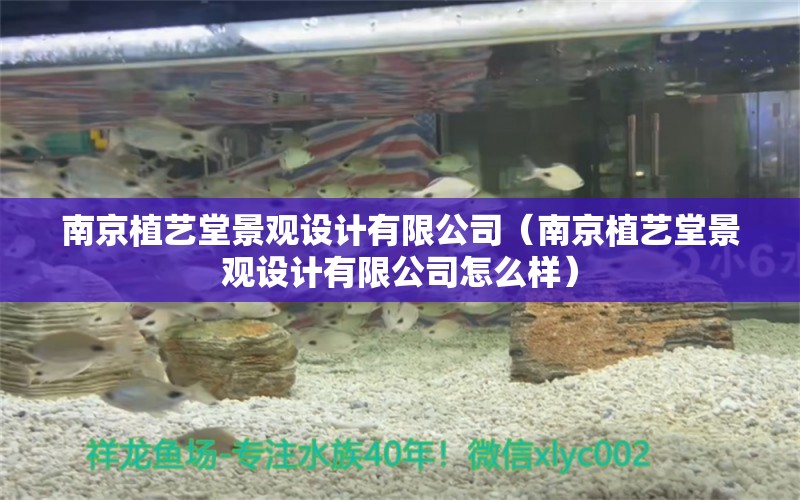 南京植艺堂景观设计有限公司（南京植艺堂景观设计有限公司怎么样） 广州景观设计