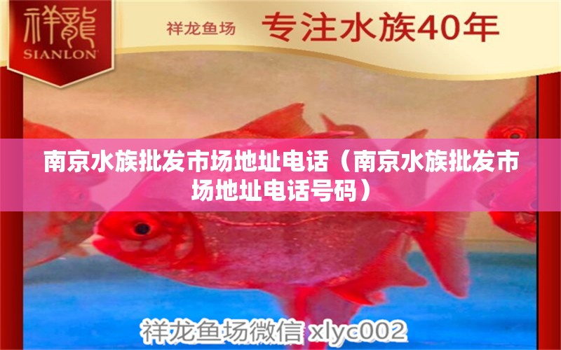 南京水族批发市场地址电话（南京水族批发市场地址电话号码）