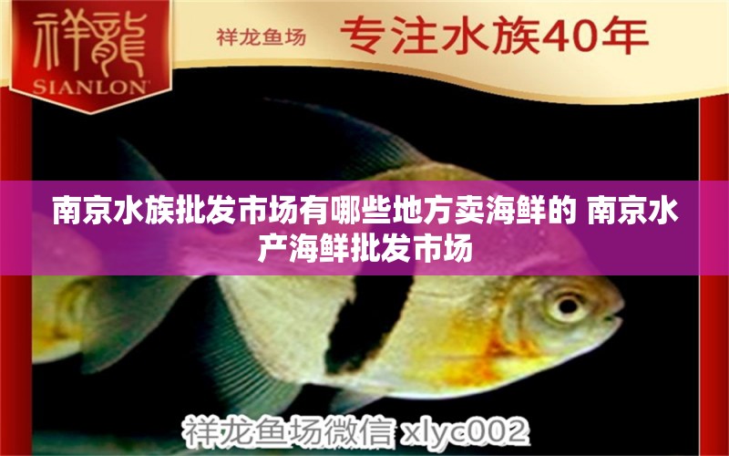 南京水族批发市场有哪些地方卖海鲜的 南京水产海鲜批发市场 老鱼匠 第1张