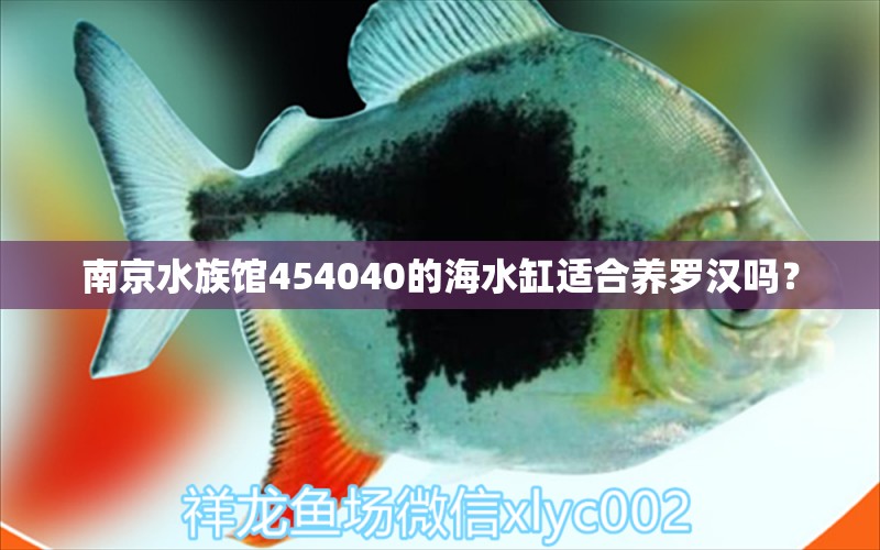 南京水族馆454040的海水缸适合养罗汉吗？