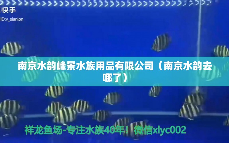 南京水韵峰景水族用品有限公司（南京水韵去哪了）