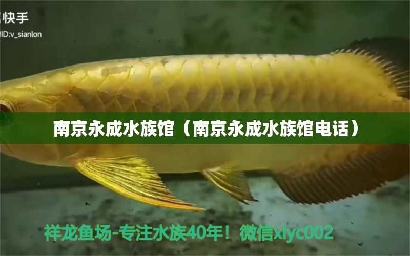 南京永成水族馆（南京永成水族馆电话）