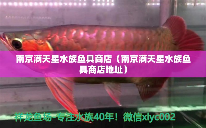 南京满天星水族鱼具商店（南京满天星水族鱼具商店地址）