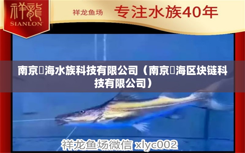 南京澔海水族科技有限公司（南京沄海区块链科技有限公司）