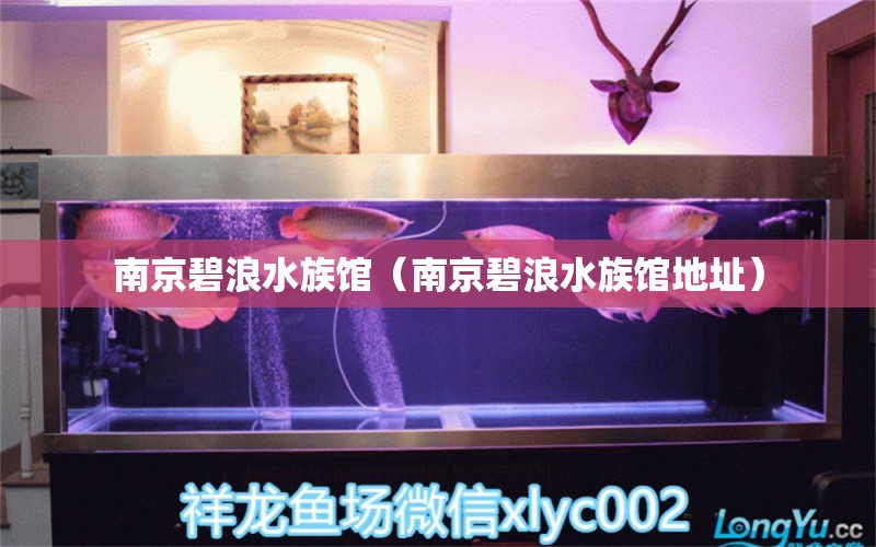 南京碧浪水族馆（南京碧浪水族馆地址） 全国水族馆企业名录