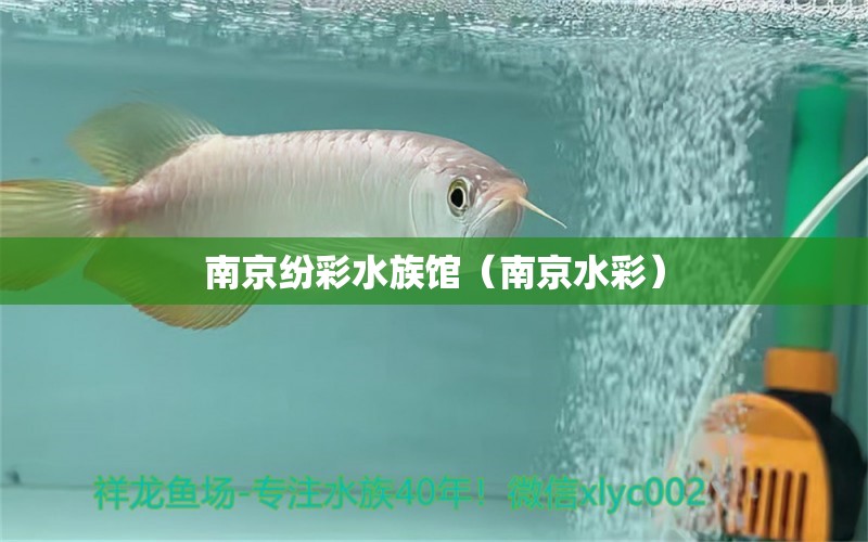 南京纷彩水族馆（南京水彩）