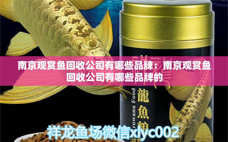 南京观赏鱼回收公司有哪些品牌：南京观赏鱼回收公司有哪些品牌的