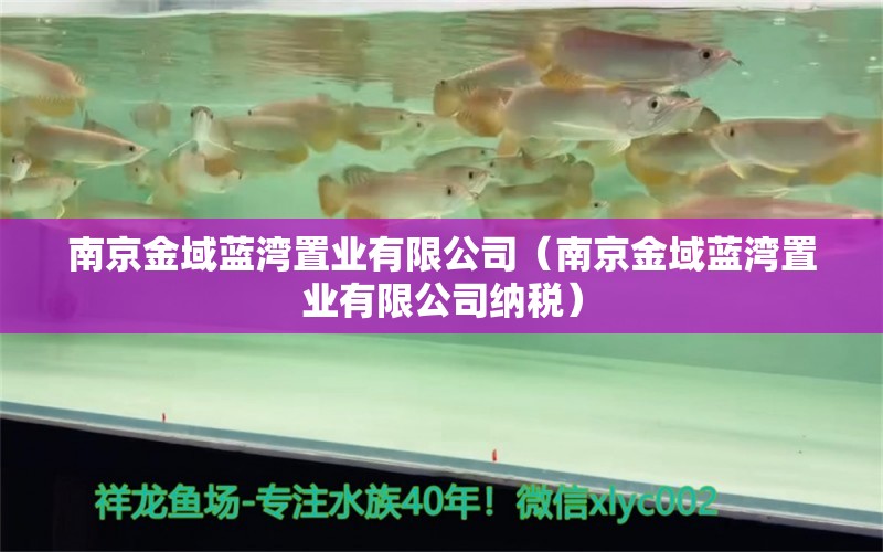 南京金域蓝湾置业有限公司（南京金域蓝湾置业有限公司纳税）