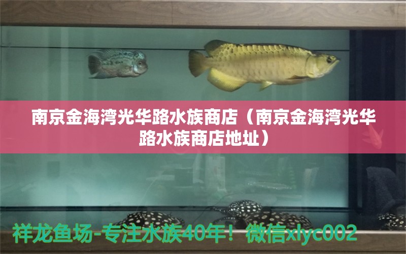 南京金海湾光华路水族商店（南京金海湾光华路水族商店地址） 全国水族馆企业名录