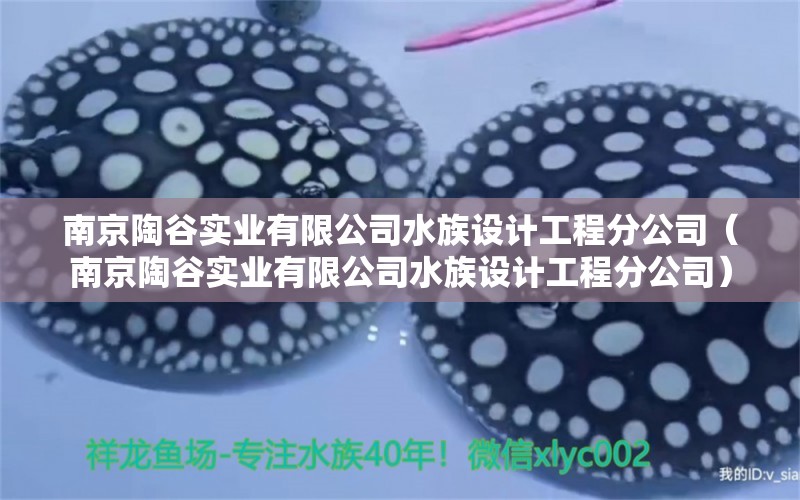 南京陶谷实业有限公司水族设计工程分公司（南京陶谷实业有限公司水族设计工程分公司） 全国水族馆企业名录