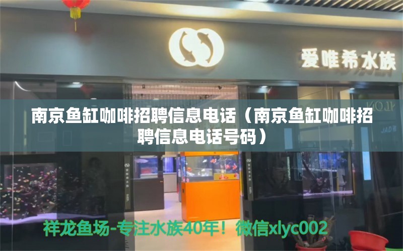 南京鱼缸咖啡招聘信息电话（南京鱼缸咖啡招聘信息电话号码）