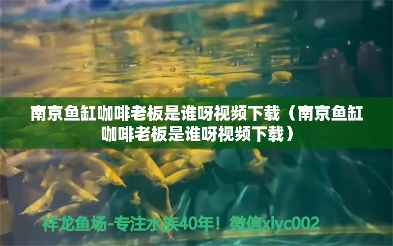 南京鱼缸咖啡老板是谁呀视频下载（南京鱼缸咖啡老板是谁呀视频下载） 马来西亚咖啡