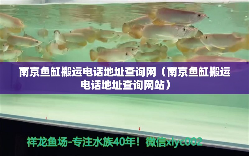 南京鱼缸搬运电话地址查询网（南京鱼缸搬运电话地址查询网站）