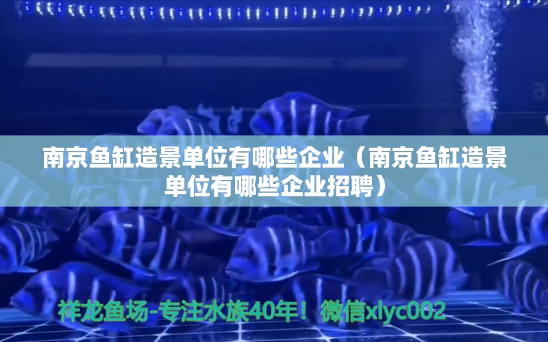 南京鱼缸造景单位有哪些企业（南京鱼缸造景单位有哪些企业招聘） 祥龙水族医院