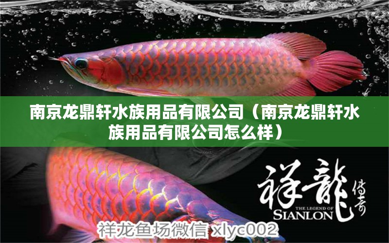 南京龙鼎轩水族用品有限公司（南京龙鼎轩水族用品有限公司怎么样） 水族用品