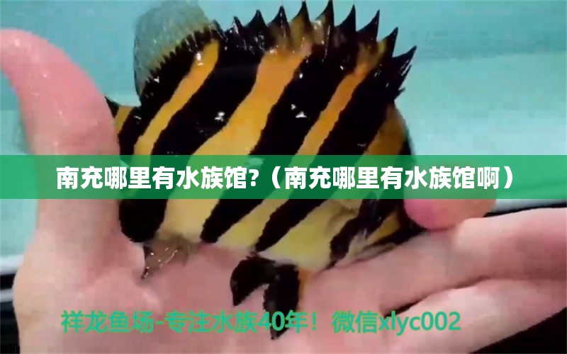 南充哪里有水族馆?（南充哪里有水族馆啊）