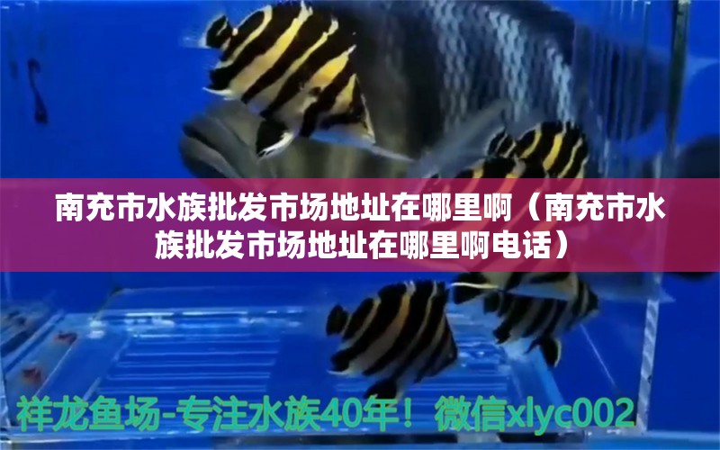 南充市水族批发市场地址在哪里啊（南充市水族批发市场地址在哪里啊电话）