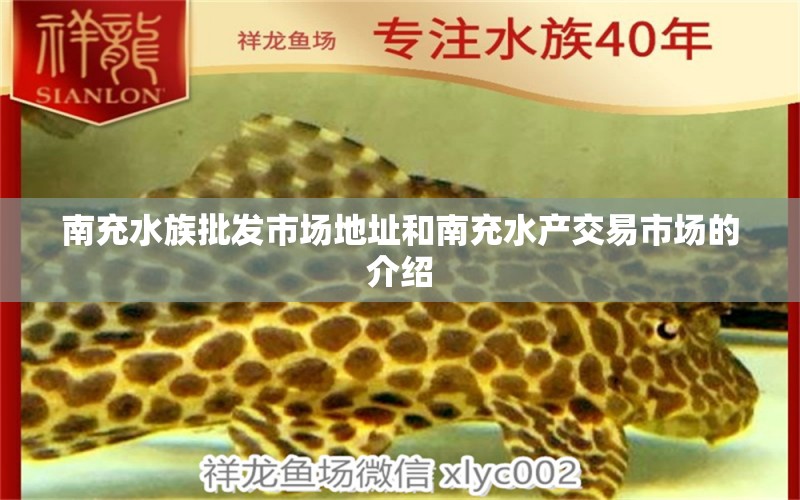 南充水族批发市场地址和南充水产交易市场的介绍 观赏鱼水族批发市场 第1张