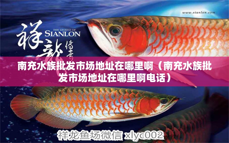 南充水族批发市场地址在哪里啊（南充水族批发市场地址在哪里啊电话） 观赏鱼水族批发市场