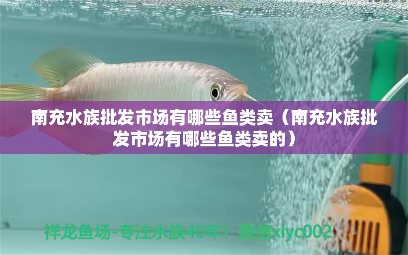 南充水族批发市场有哪些鱼类卖（南充水族批发市场有哪些鱼类卖的）