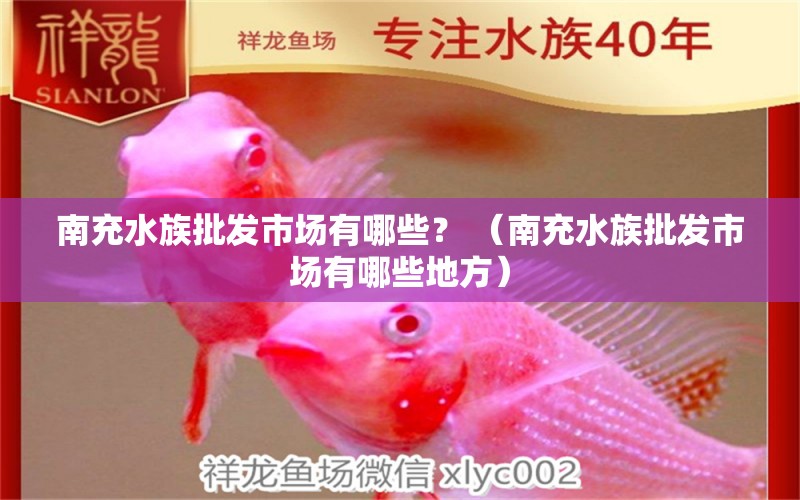 南充水族批发市场有哪些？ （南充水族批发市场有哪些地方）