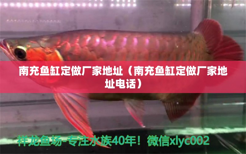 南充鱼缸定做厂家地址（南充鱼缸定做厂家地址电话） 祥龙水族医院