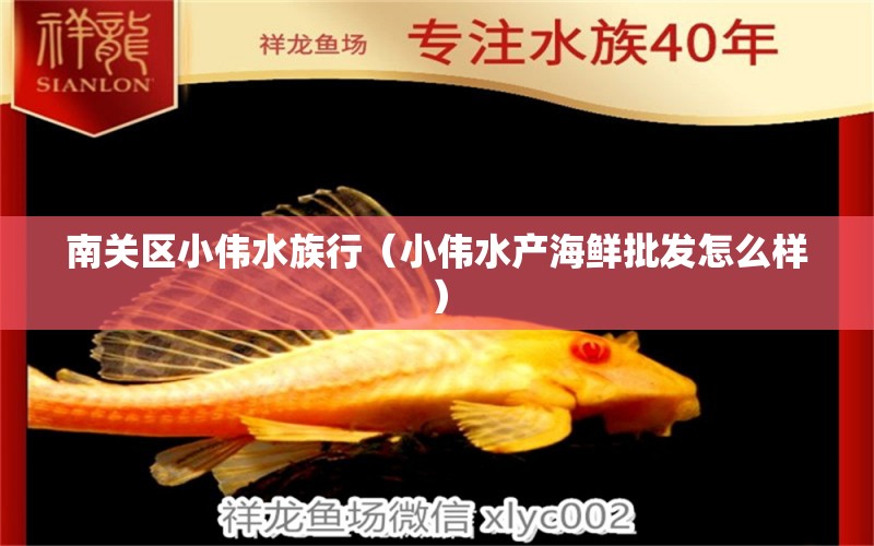 南关区小伟水族行（小伟水产海鲜批发怎么样）