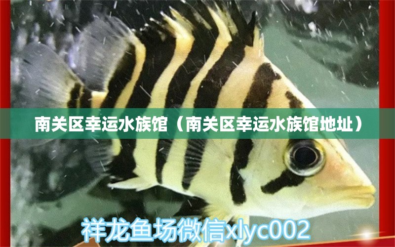 南关区幸运水族馆（南关区幸运水族馆地址）