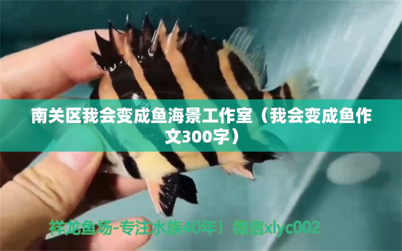 南关区我会变成鱼海景工作室（我会变成鱼作文300字） 全国水族馆企业名录