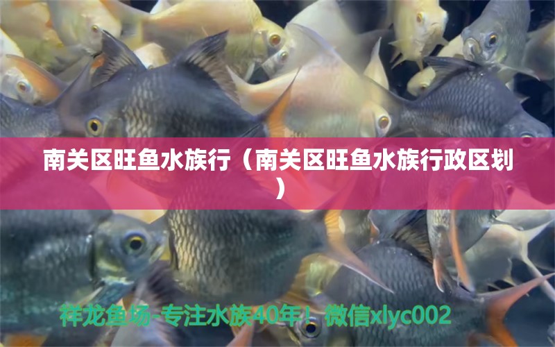 南关区旺鱼水族行（南关区旺鱼水族行政区划）