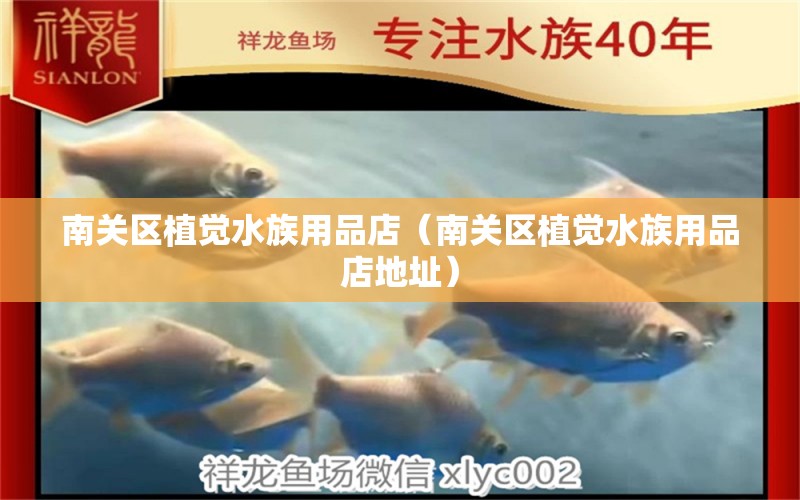 南关区植觉水族用品店（南关区植觉水族用品店地址） 水族用品