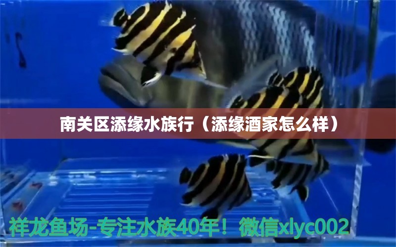 南关区添缘水族行（添缘酒家怎么样） 全国水族馆企业名录