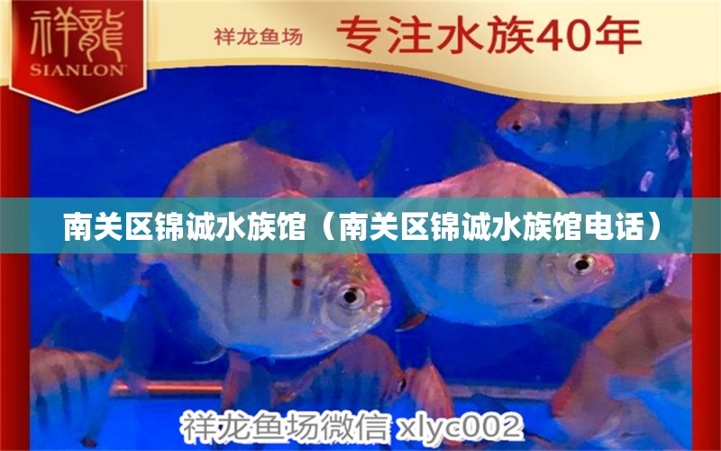 南关区锦诚水族馆（南关区锦诚水族馆电话） 全国水族馆企业名录